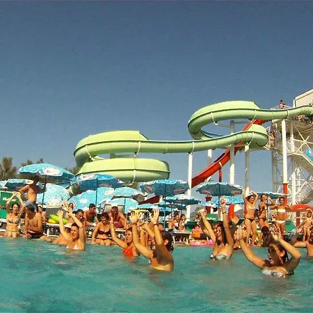 Fior Di Loto - Rimini